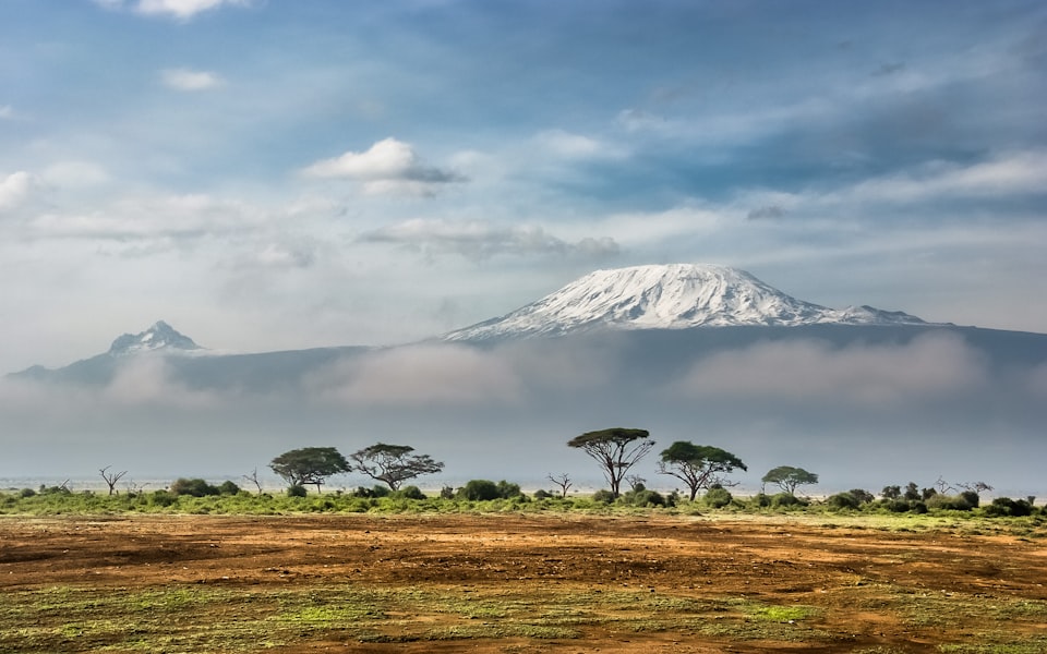 Africa Magic
